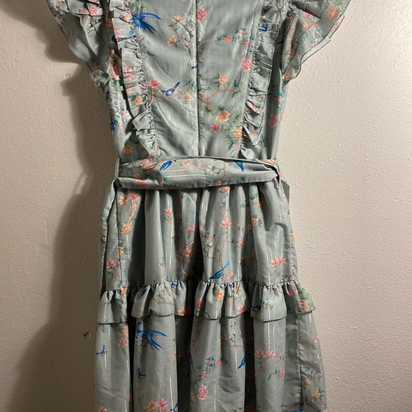 JessaKae XSmall perfect dress with Birds. - Picture 7 of 13